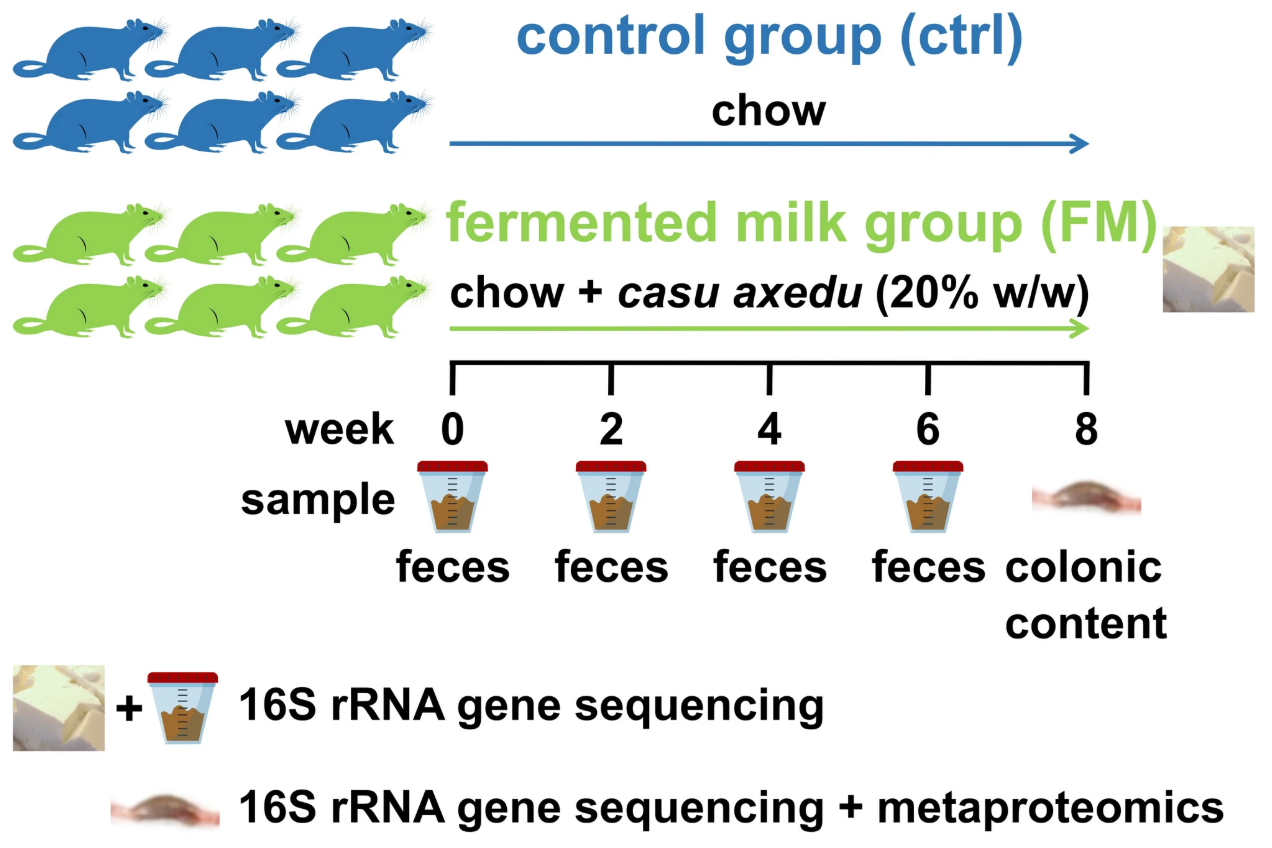 Fermented milk publication poster
