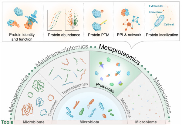 Microbiologist's Guide to Metaproteomics Poster