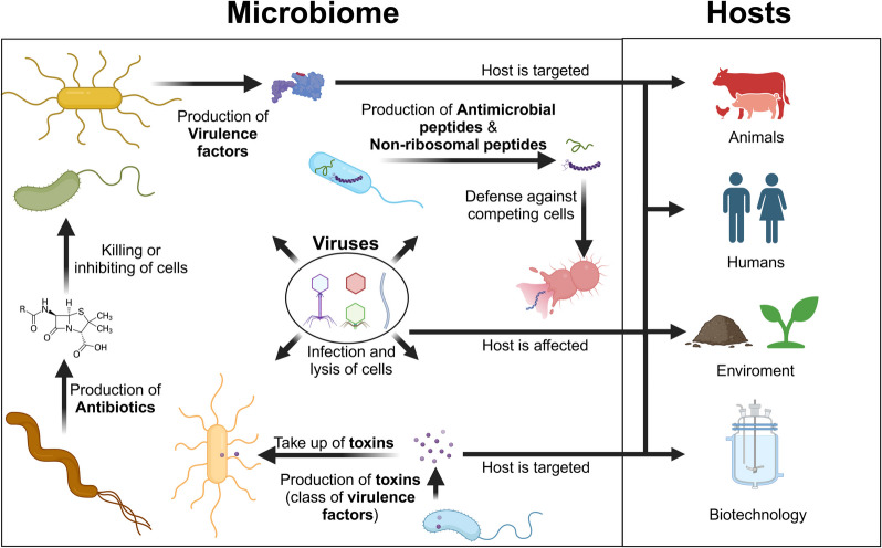 Overview of the role of microbial effectors in microbiomes and their interaction with hosts.